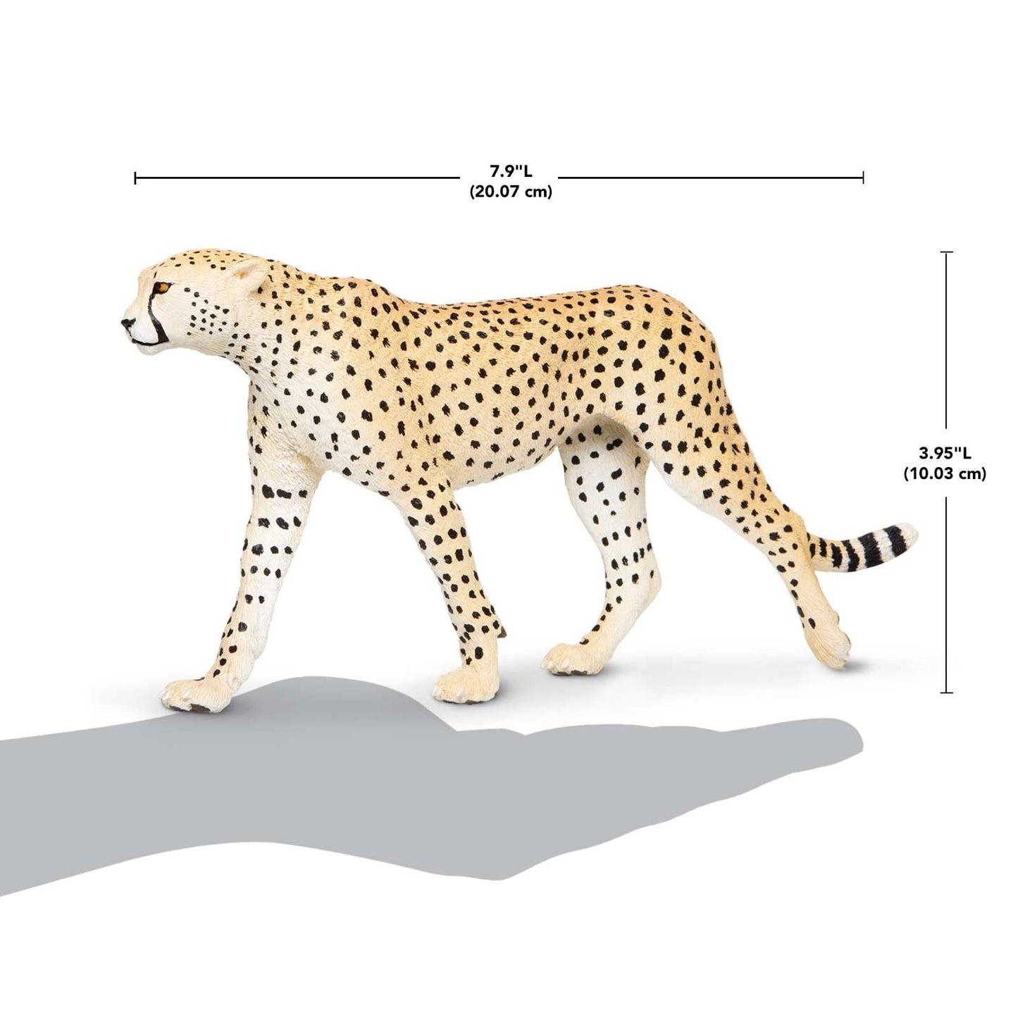 Safari Ltd. Cheetah Toy Figurine - Detailed 8" Plastic Model Figure - Fun Educational Play Toy for Boys, Girls & Kids Ages 3+