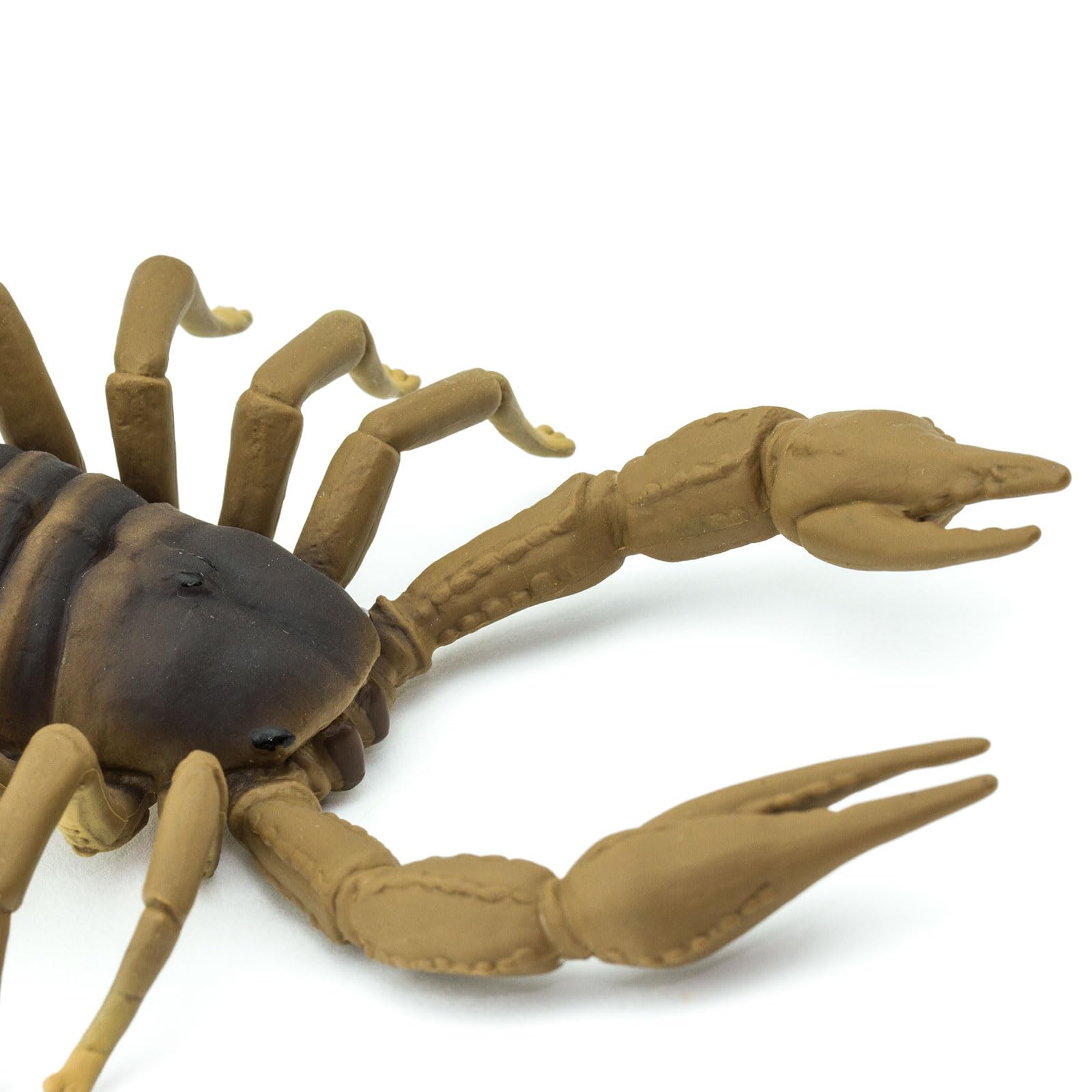 Safari Ltd. Scorpion Figurine - Realistic 7.5" Arachnid Figure - Educational Toy for Boys, Girls, and Kids Ages 3+