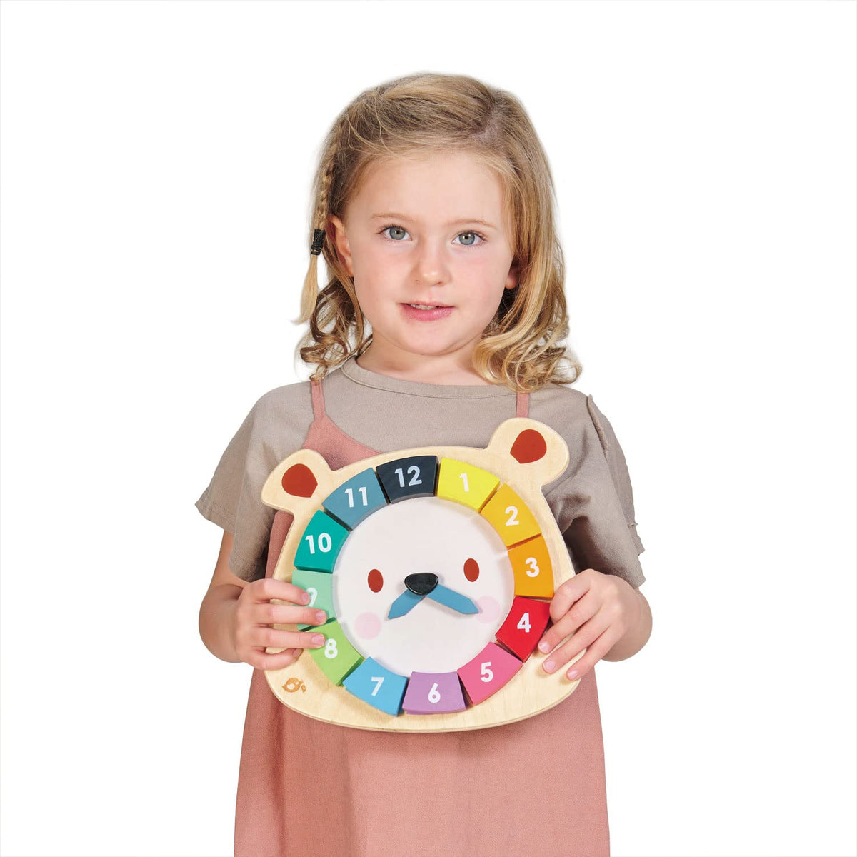 Tender Leaf Toys - 12 Pcs Bear Colors Clock, Early Learning Time, Educational Learning Clock Toy - Wooden Clock, Lovely Shapes - Cognitive Toy