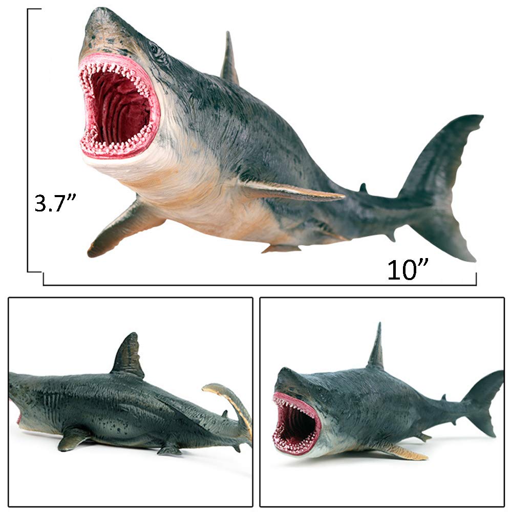 EOIVSH Large Shark Toys Megalodon, Plastic Assorted Ocean Animal Shark Figurine Realistic Sea Creature Toy Figure for Collection Gift, Bath Toy, Cake