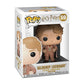 Funko POP!: Harry Potter - Gilderoy Lockhart, Multicolor