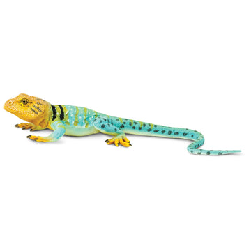 Safari Ltd. Collared Lizard Figurine - Realistic 7.25" Reptile Figure - Educational Toy for Boys, Girls, and Kids Ages 3+