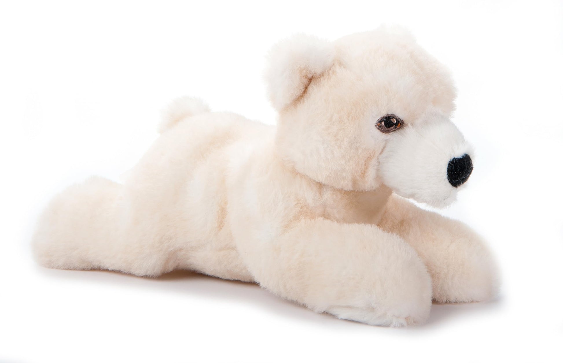 The Petting Zoo Polar Bear Stuffed Animal Plushie, Gifts for Kids, Earth Keeperz Wildlife Animals, Zoologee White Polar Bear Plush Toy, 10 inches