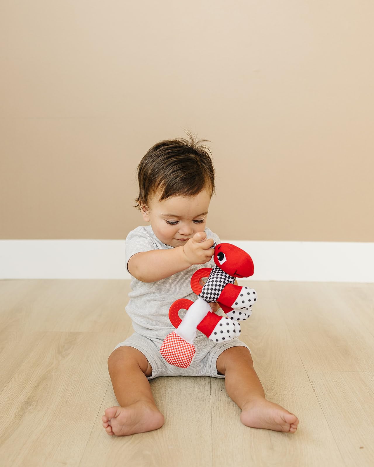 Genius Baby Toys Caterpillar Teething and Sensory Toy, High Contrast Black White Red, Multi-Texture Segments, BPA-Free, No Hard Parts, Machine