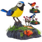 WYHFA Talking Parrots Birds Electronic Pets,Singing Chirping Bird with Motion Sensor Activation Office Home Decoration Kids Toys Brithday Gifts