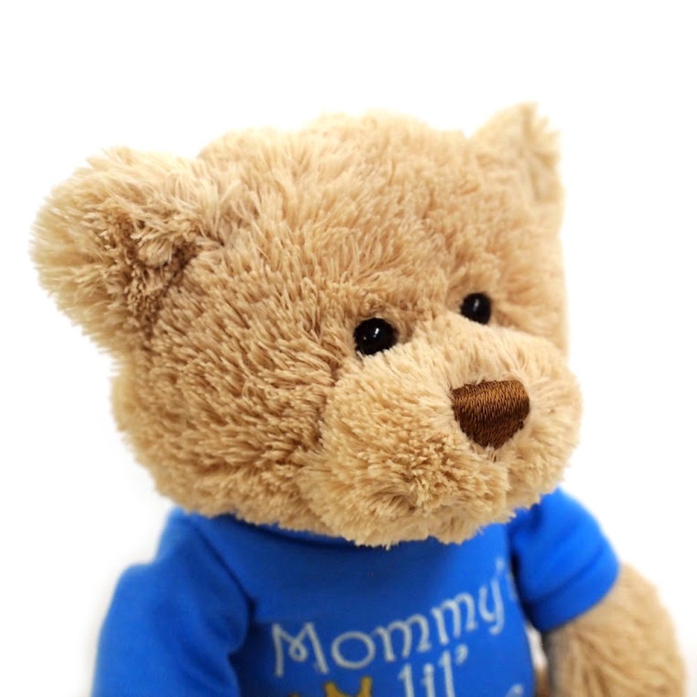 Gund 4048277 Mommy's Little Prince T-Shirt Teddy Bear Stuffed Animal Plush
