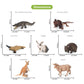 Volnau Animal Toys Figurines 12PCS Australian Figures for Kids Christmas Decoration Gift Preschool Educational Zoo Pack Kangaroo Koala Bear Emu Safari