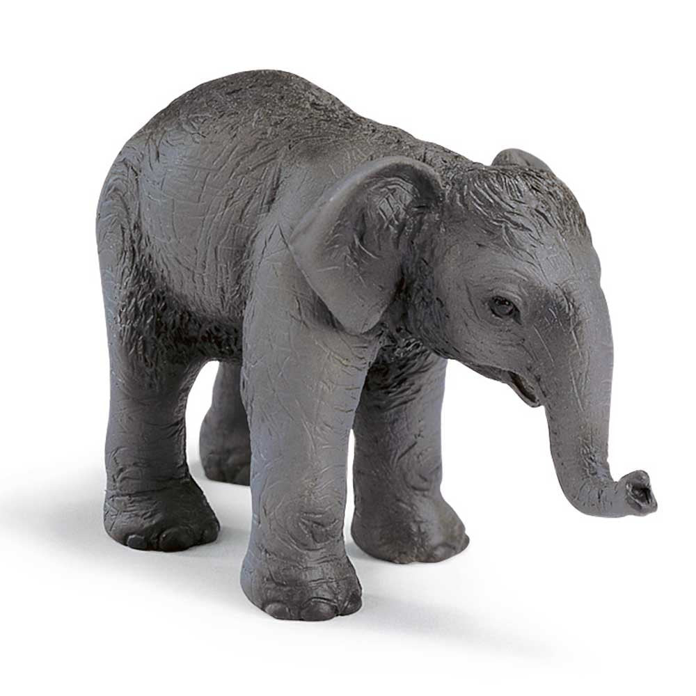 Schleich Asian Elephant Calf 14343