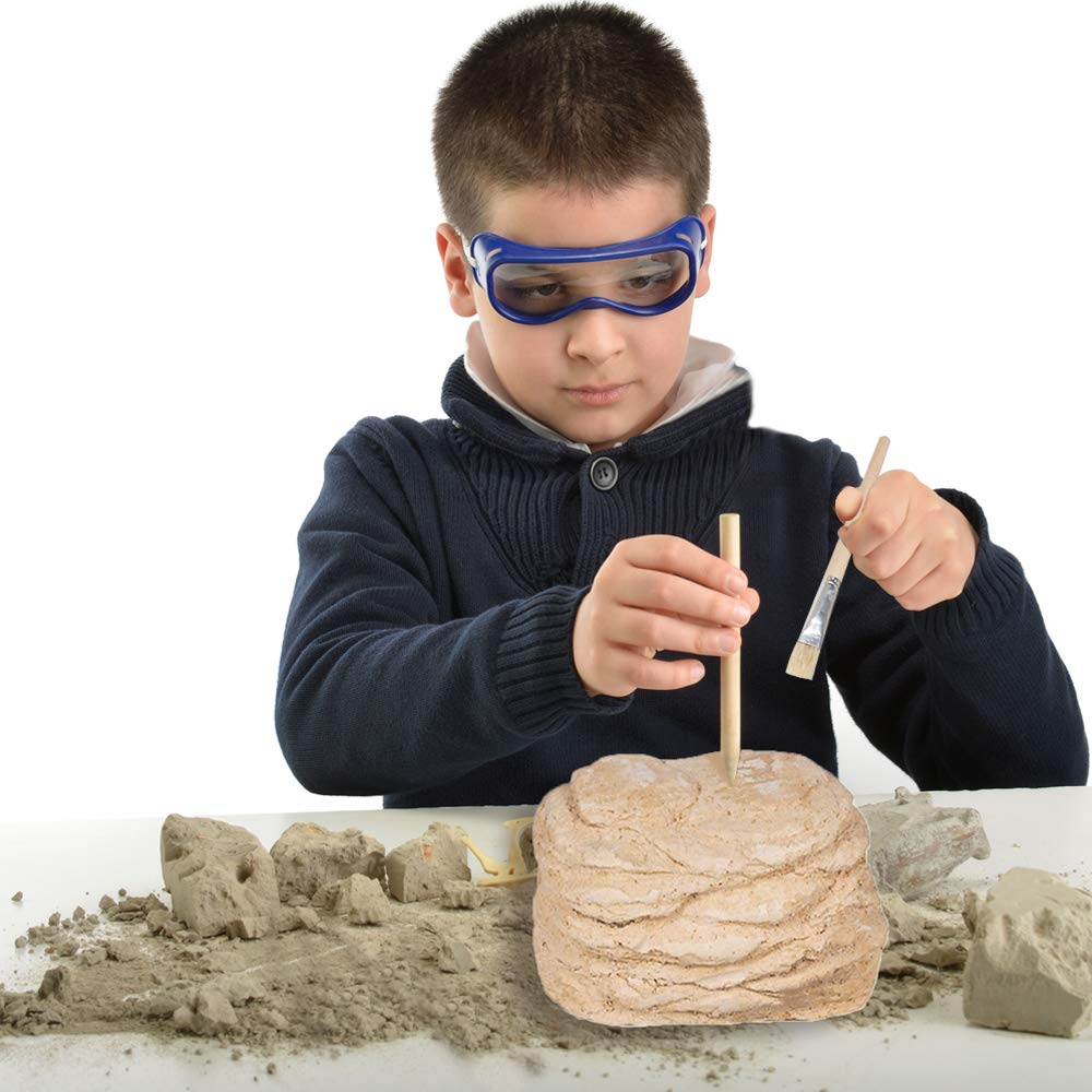 ArtCreativity Dinosaur Excavation Kit for Kids, 5.5” Triceratops Skull Excavating Set with Fossil Digging Tools and Stand, Fun Science Activity Toy