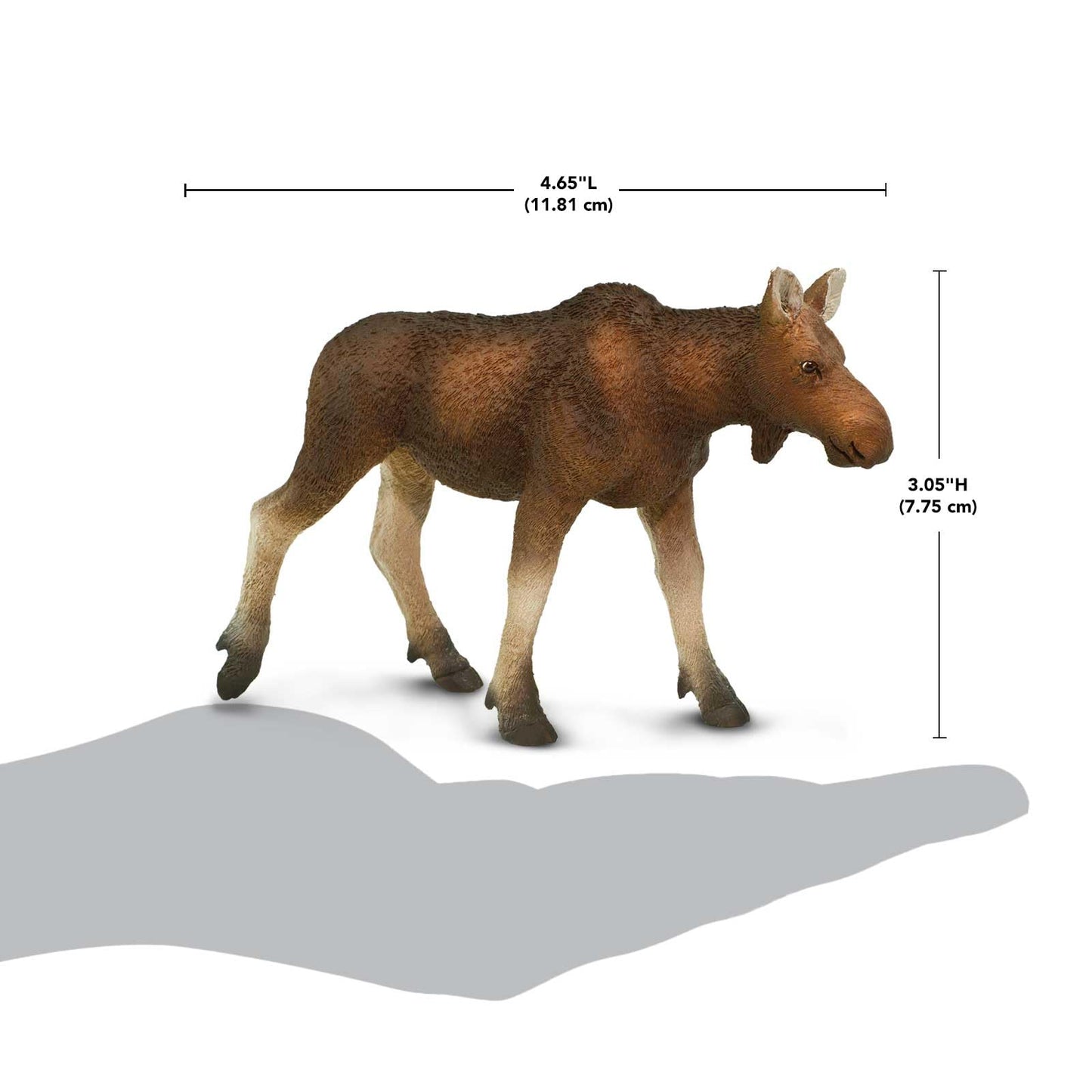 Safari Ltd. Cow Moose Figurine - Detailed 4.5" Plastic Model Figure - Fun Educational Play Toy for Boys, Girls & Kids Ages 1+