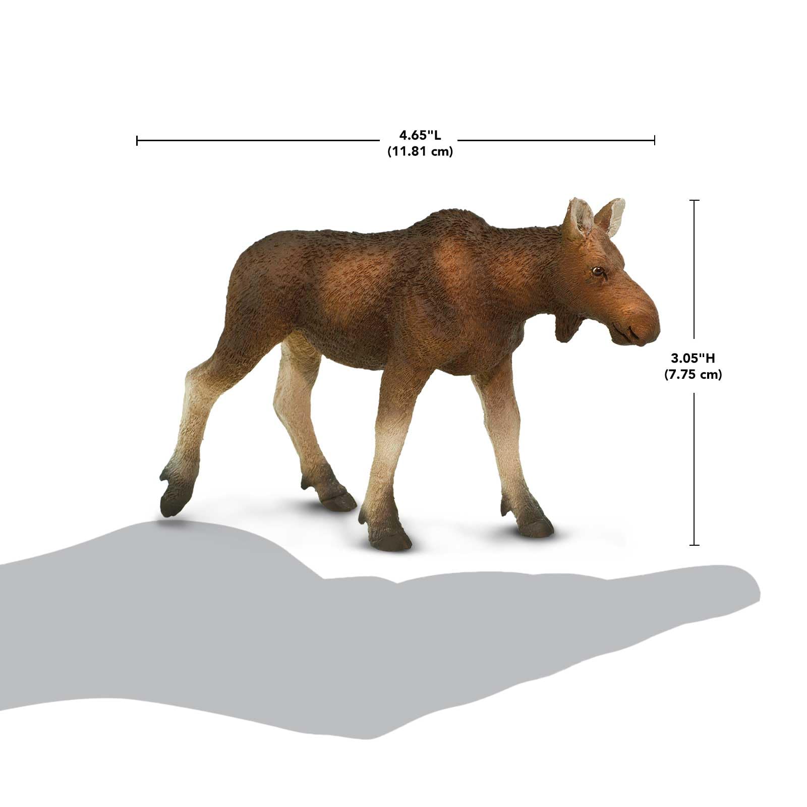 Safari Ltd. Cow Moose Figurine - Detailed 4.5" Plastic Model Figure - Fun Educational Play Toy for Boys, Girls & Kids Ages 1+