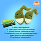 GIANT MICROBES Gallbladder Plush - Anatomy Gift, Medical Student Gifts