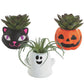 Fun Express DIY Mini Ceramic Halloween Planters - Set of 12 - Catt, Ghost and Pumpkin - Craft for Kids