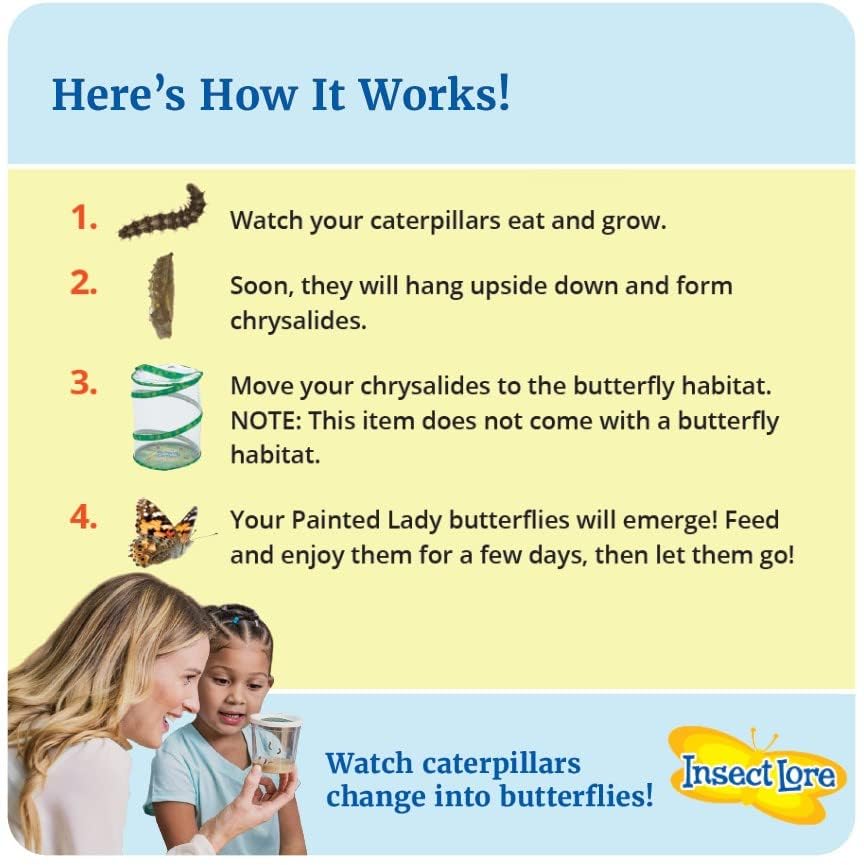 Insect Lore Two Cups of Live Caterpillars - 10 Live Painted Lady Caterpillars with Food - Includes Bonus Butterfly Life Cycle Figurines - Refill