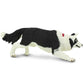 Safari Ltd. Border Collie Figurine - Detailed 5" Plastic Model Figure - Fun Educational Play Toy for Boys, Girls & Kids Ages 3+