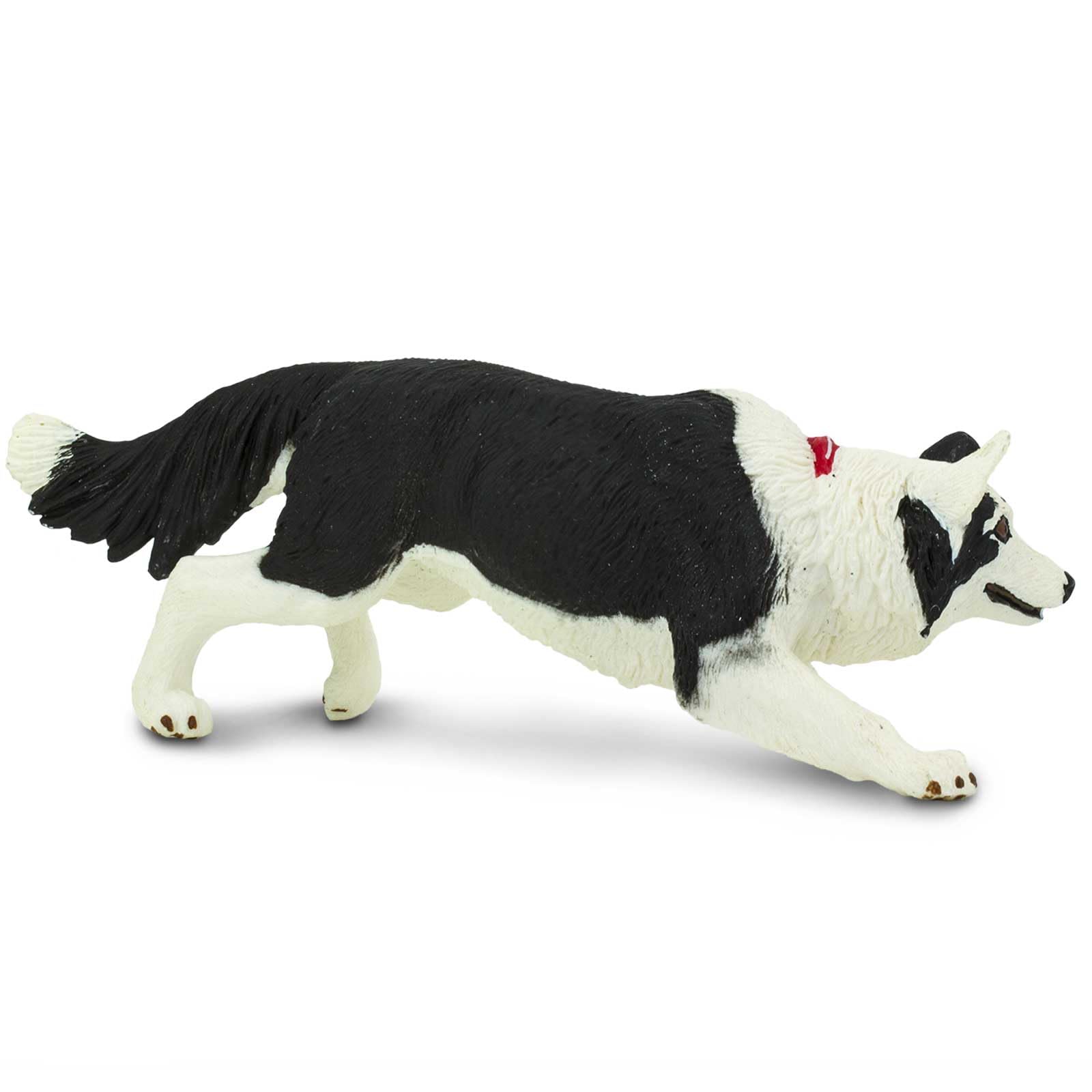 Safari Ltd. Border Collie Figurine - Detailed 5" Plastic Model Figure - Fun Educational Play Toy for Boys, Girls & Kids Ages 3+