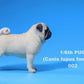 Lana Toys 1:6 Scale Pug Dog Pet Figure Realistic Animal Model