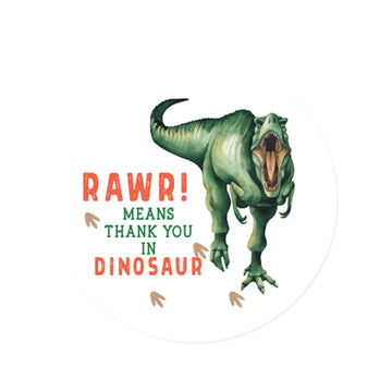 Andaz Press Birthday Collection, Round Circle Label Stickers, Rawr! Means Thank You in Dinosaur, Dino Childrens Party, Kids Dino Jungle Theme Party