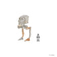 Star Wars Micro Galaxy Squadron AT-ST (Armada Edition) Mystery Bundle - 3-Inch and 2.5-Inch Vehicles with Accessories (Amazon Exclusive)