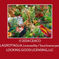Ceaco - Wild Ones - 500 Piece Jigsaw Puzzle for Adults