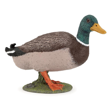 Papo - Realistic Mallard Duck Figure - Ages 3+ - Farm Life Collection - Educational Play Farm Birds - Gift Idea Toy for Girls and Boys