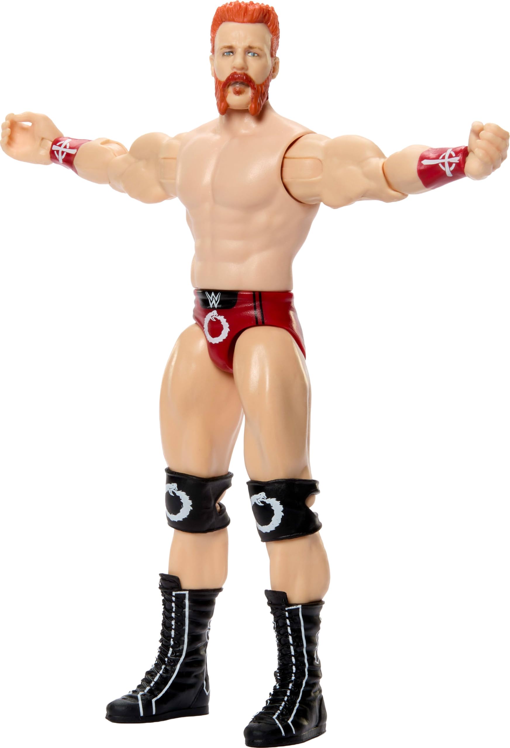 Mattel WWE SheamusPlay & Display Action Figure