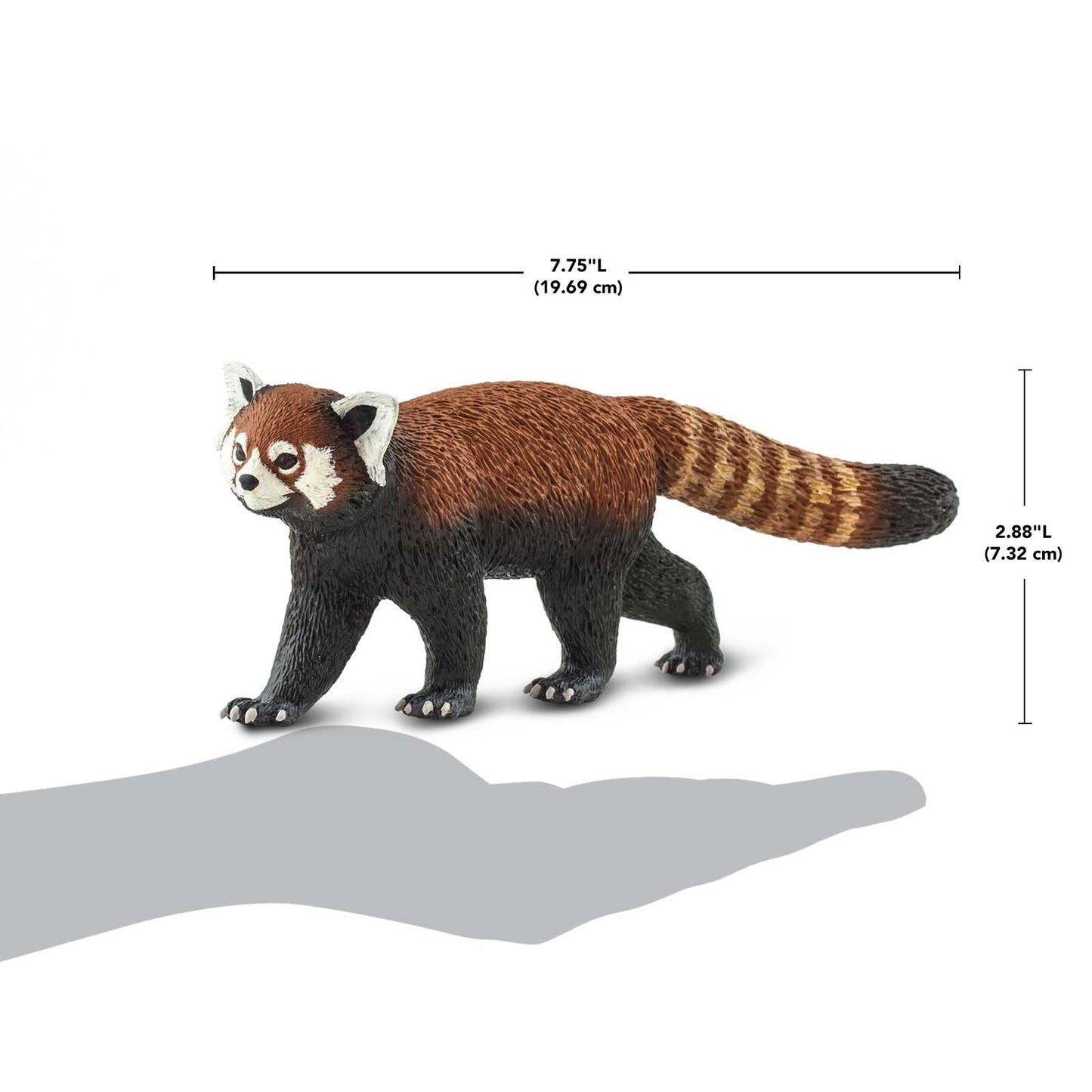 Safari Ltd. Red Panda - Realistic 8" Animal Figure - Educational Toy for Boys, Girls & Kids Ages 3+