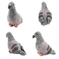 TUKVESZE Gray Pigeon Stuffed Animal, Soft Pigeon Plush Toy, Bird Stuffed Toys Pigeon Doll Birthday Decor Gift