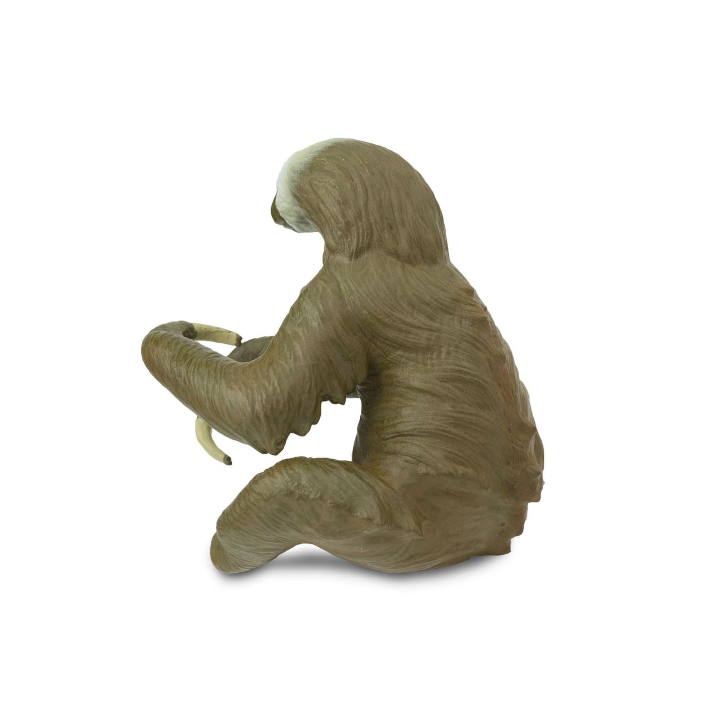 Safari Ltd. Two-Toed Sloth Figurine - Detailed 2.25" Plastic Figure - Educational Toy for Boys, Girls, and Kids Ages 3+