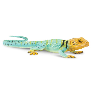 Safari Ltd. Collared Lizard Figurine - Realistic 7.25" Reptile Figure - Educational Toy for Boys, Girls, and Kids Ages 3+