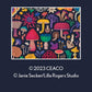 Ceaco - Magical Mushrooms - 300 Large Piece Jigsaw Puzzle for Adults