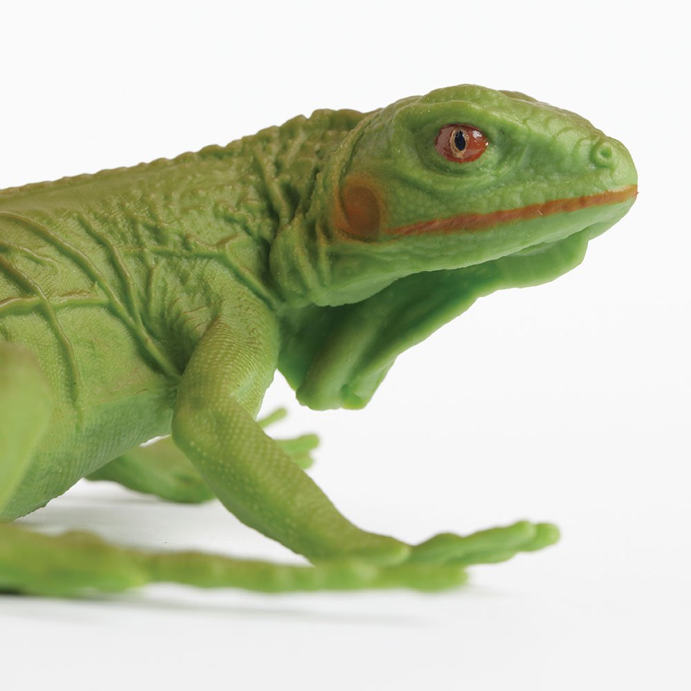 Safari Ltd. Iguana Baby Figurine - Detailed 9.4" Plastic Model Figure - Educational Toy for Boys, Girls and Kids Ages 3+