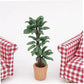 Green Cute Dollhouse Flower Bonsai 1:12 Dollhouse Miniature Plant in Pot Micro Landscape DIY Craft Garden Ornament Lightweight Decorative, Decorations