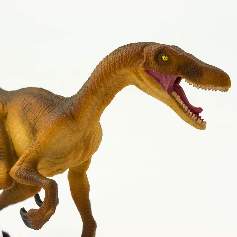 Safari Ltd. Velociraptor Figurine - Detailed 8.25" Dinosaur Figure - Educational Toy for Boys, Girls, and Kids Ages 3+