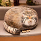 Chubby Steppe Cat Pillow,18'' Pallas Cat Plush Pillow, Cute Steppe Cat Stuffed Animals Soft Plushies, Kitten Plush Throw Pillow Doll Big Plush Toys