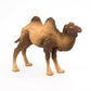 Papo - Realistic Bactrian Camel Figure Toy for Kids - Ages 3+ - Wild Life Collection - Educational Play Exotic Animals - Gift Idea Toy for Girls