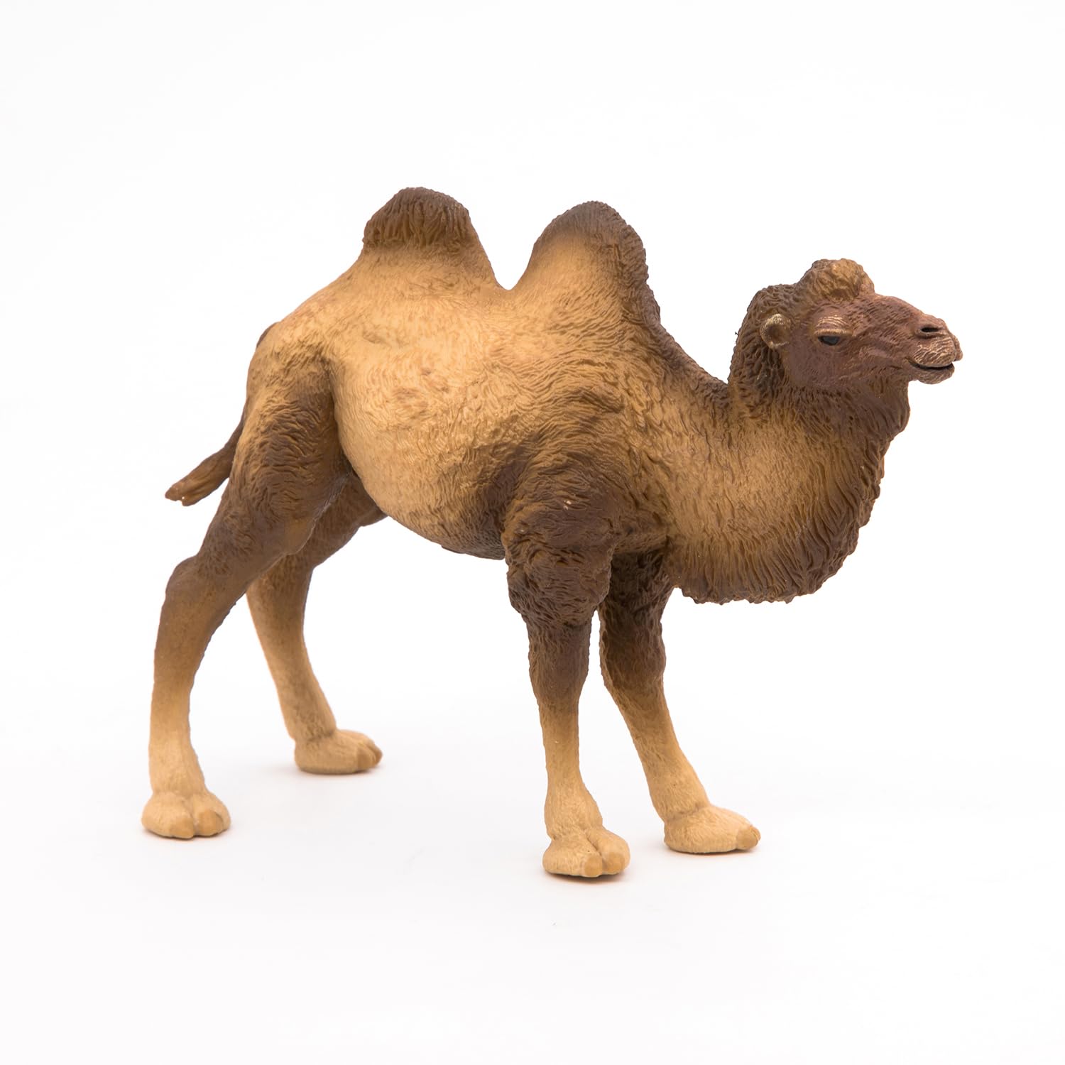 Papo - Realistic Bactrian Camel Figure Toy for Kids - Ages 3+ - Wild Life Collection - Educational Play Exotic Animals - Gift Idea Toy for Girls