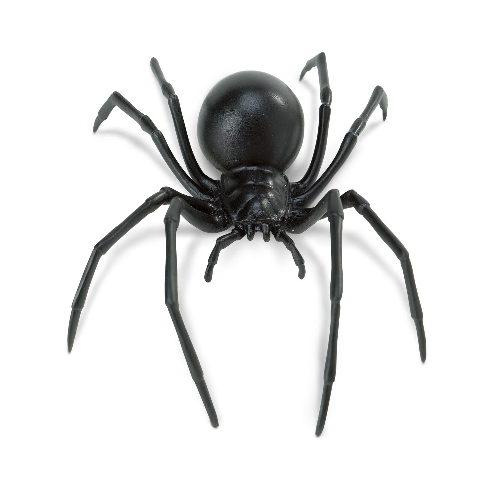 Safari Ltd. Black Widow Spider Figurine - Realistic 6.5" Arachnid Figure - Educational Toy for Boys, Girls, and Kids Ages 3+