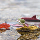 Safari Ltd. Life Cycle of a Salmon Set - 5 Hand-Painted, Lifelike Model Figures - Fun Educational Toy for Boys, Girls & Kids Ages 4+