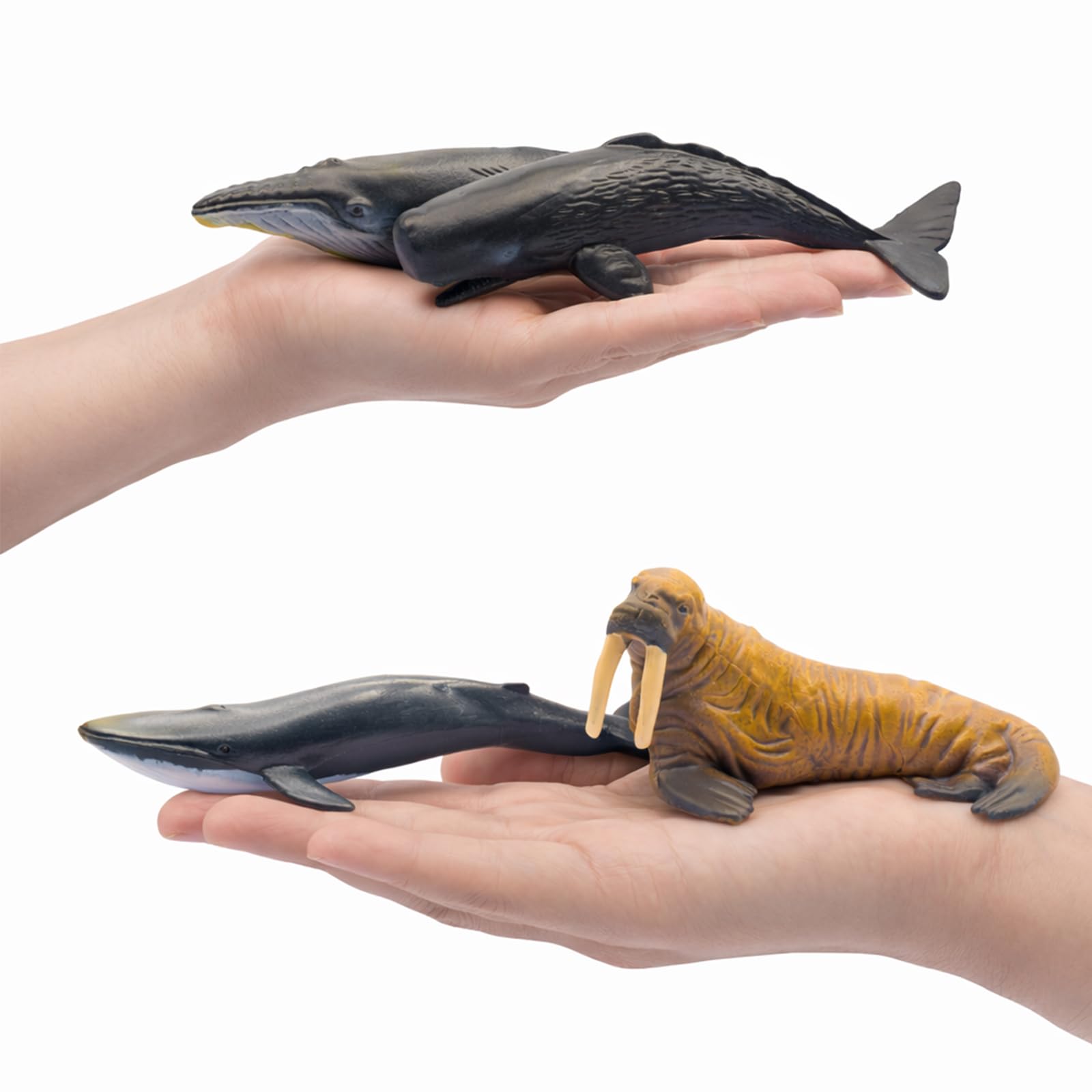 ZECHOCHOZE 37pcs Mini Ocean Animal Figurines Toys, Include Animals Like Realistic Sharks, Whales, Octopus, Turtles, Penguin, Suitable for Children's