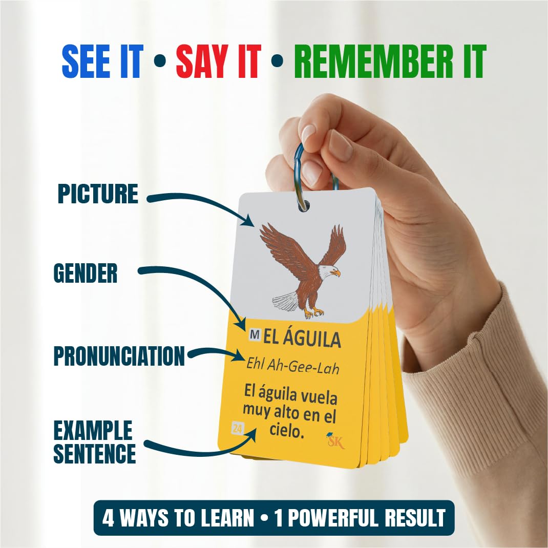 300 Bilingual English Spanish Flash Cards for Adults & Kids Ages 12+ Beginners - Noun Vocabulary with Pictures, Pronunciation, Sentences, Adult Self