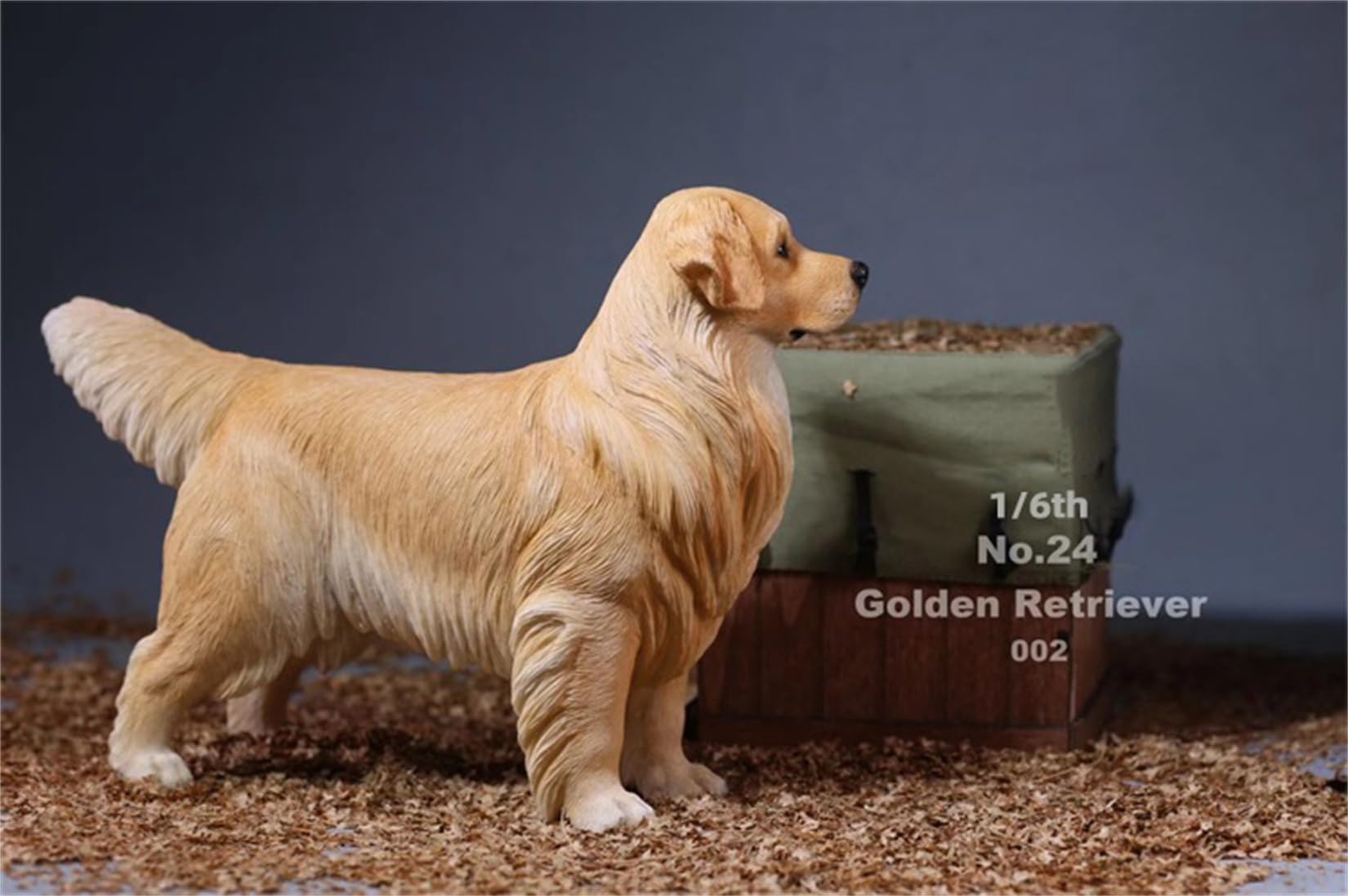 Lana Toys 1:6 Scale Golden Retriever Dog Pet Figure Realistic Animal Model