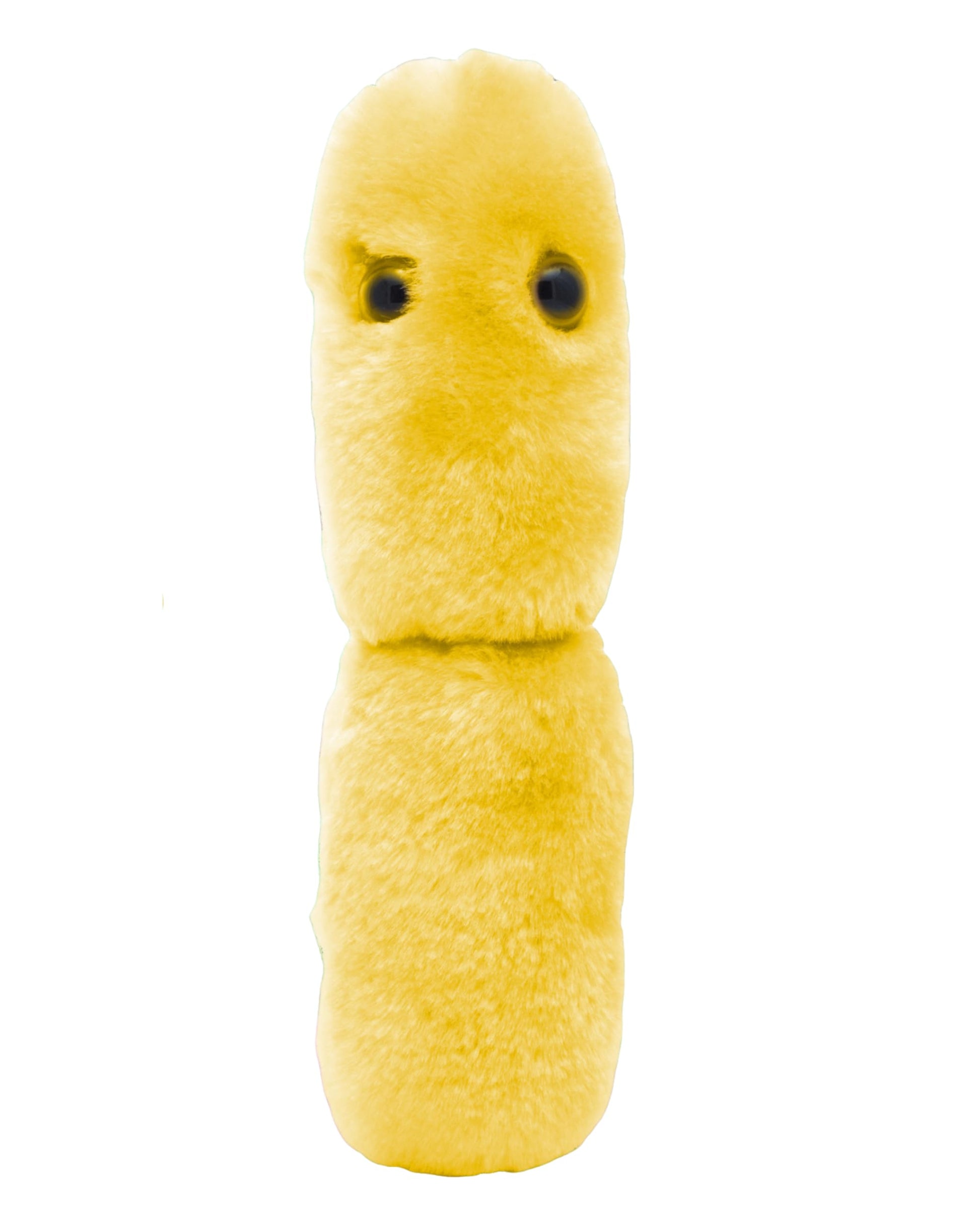 GIANTmicrobes Acidophilus Plush - Learn About Probiotics and The Gut Microbiome with This Educational Gift for Doctors, Students, Biologists