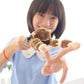YMCtoys - Flying Screaming Flingshot Slingshot Novelty Monkey Plush Doll Toy, Launches up to 50 Feet