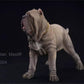 Lana Toys 1:6 Scale Neopolitan Mastiff Dog Figure Realistic Neapolitan Mastiff Animal Model