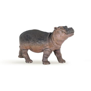 Papo - Realistic Baby Hippopotamus Figure - Ages 3+ - Wild Life Collection - Educational Play Young Animals - Gift Idea Toy for Girls and Boys