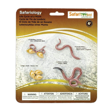 Safari Ltd. Life Cycle of a Worm Set - Miniature Educational Figurines - Realistic and Detailed Toy Collection for Boys, Girls & Kids Age 4+