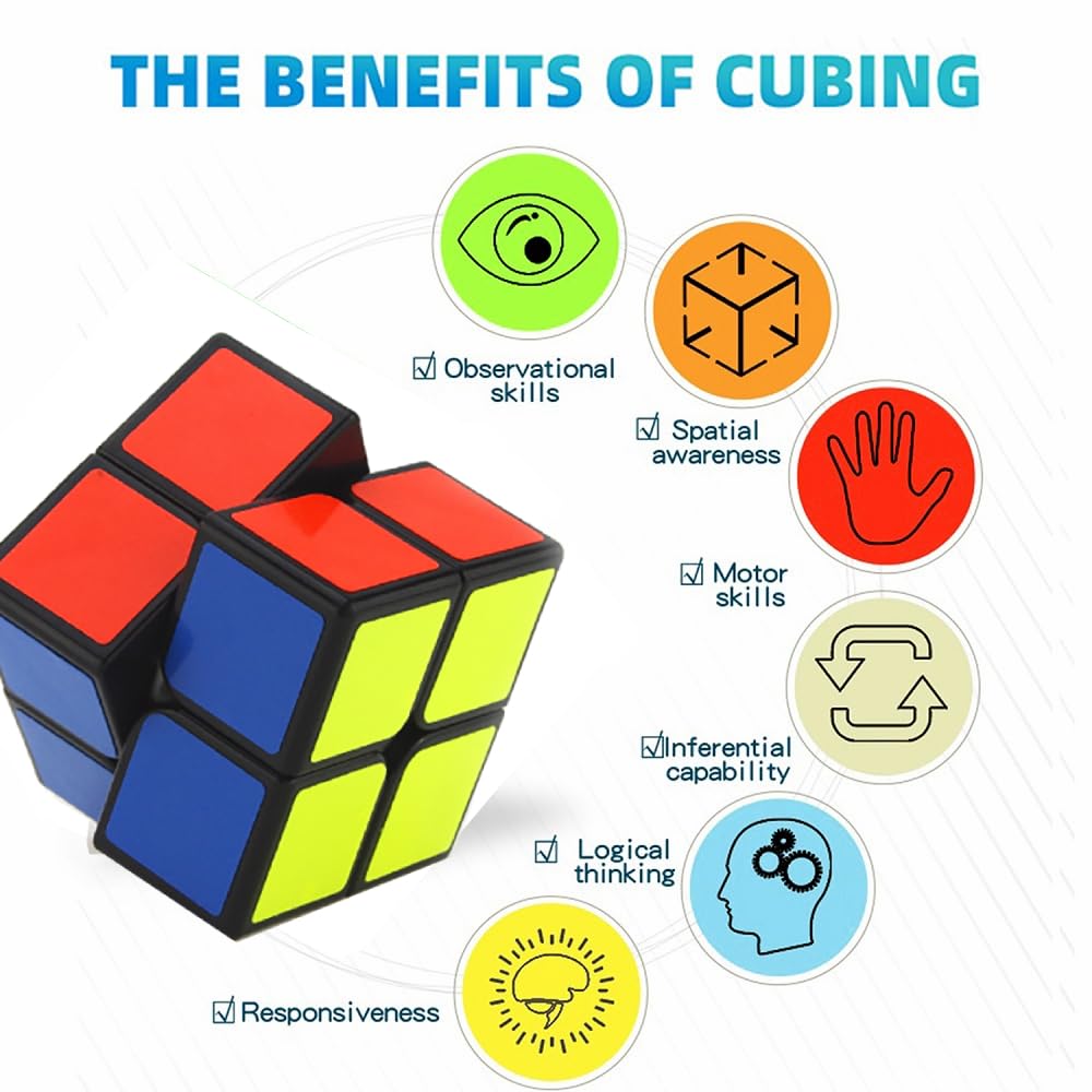 Shengshou 2x2x2 Puzzle Cube, Black