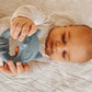 Mary Meyer Teething Toys Leika Silicone Baby Teether for Babies 0-12 Months, 9-Inches, Little Raccoon