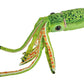 Wild Republic Green Squid Stuffed Animal - 12"